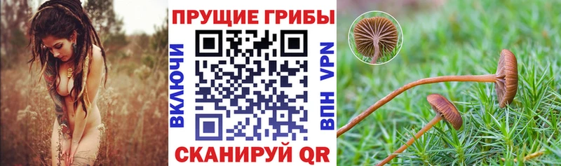 Галлюциногенные грибы прущие грибы  Купить где  Семилуки 